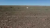 Arizona - Buildable Lot Near Petrified Forest 1.25 Acres Level Land