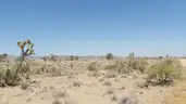 Arizona Joshua Tree Paradise - 1 Acre - Gateway to the Grand Canyon 50% Down