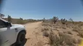 Dolan Springs Arizona among the Joshua Trees - 1 Acre - Down Payment Auction