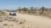 Dolan Springs Arizona among the Joshua Trees - 1 Acre - Down Payment Auction