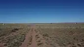 Arizona - Buildable Lot Near Petrified Forest 1.25 Acres