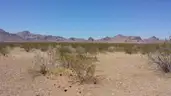 Marvelous Muscovite for 20% down 2+ Acres in Arizona w Mountain Views.  Great Location and Easy Access.