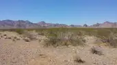 Marvelous Muscovite for 20% down 2+ Acres in Arizona w Mountain Views.  Great Location and Easy Access.