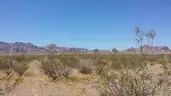 Marvelous Muscovite for 20% down 2+ Acres in Arizona w Mountain Views.  Great Location and Easy Access.