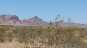 Marvelous Muscovite for 20% down 2+ Acres in Arizona w Mountain Views.  Great Location and Easy Access.
