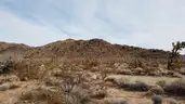 Location, Location! 2ac Kingman area Family Friendly Arizona Homestead with VIDEO!