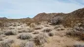 Location, Location! 2ac Kingman area Family Friendly Arizona Homestead with VIDEO!