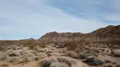 Location, Location! 2ac Kingman area Family Friendly Arizona Homestead with VIDEO!