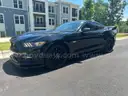 2015 Ford Mustang GT Premium Coupe