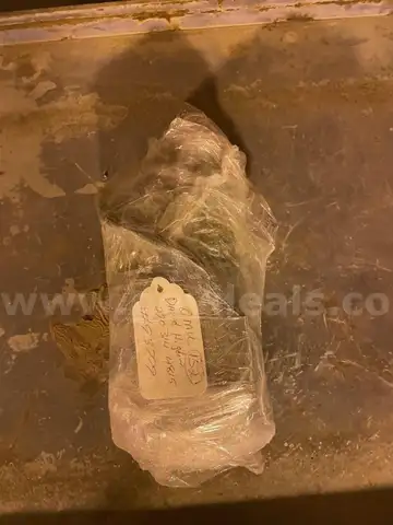 GEAR MOTOR, 125V AC or DC MOTOR FOR GE ELEVATING MECHANISM