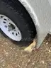 2009 Utility &#x22;snow cone&#x22; trailer with new AC