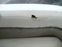 2020 Hurricane Deck Boat
