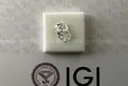 1.09 Ct. Radiant Brilliant Diamond