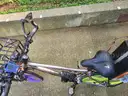 315 Mile Long Range Custom 100% Titanium Cargo E-bike