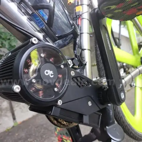 315 Mile Long Range Custom 100% Titanium Cargo E-bike