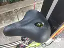 315 mile Longest Range Custom 100% Titanium Cargo Racing E-bike