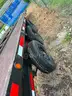 1996 TAKE 3 WEDGE 53 FOOT GOOSENECK CAR HAULER