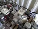 Pumps, Trash, Water, 4in to 5in, Honda, Wacker Neuson, Qty 19