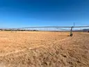 Field Sprinklers