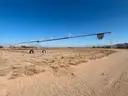Field Sprinklers