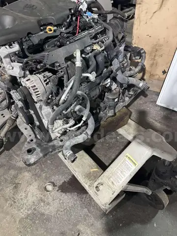 2019 - 2025 Toyota RAV4 Gasoline Engine