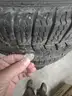 Lot of (6) Continental Tires