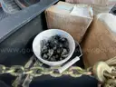 2021 Asphalt Zipper 420X 173H Hot Rod - ONLY 40 Hours!!