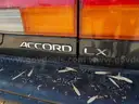 1992 Honda Accord