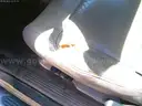 2000 Ford Explorer