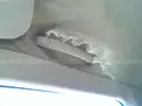 2000 Ford Explorer