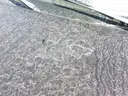 2000 Honda Civic
