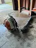 Lot of Stihl Backpack Blowers (Qty 5)