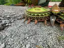 2014 Claas Jaguar 960 Forage Harvester