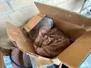 Lot of Art and Pottery Items