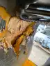 Allis Chalmers Forklift