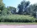 414 CHIPPEWA LN., DIXON, IL 61021 - NEW LANDING - VACANT LOT (Parcel # 22-08-376-006)