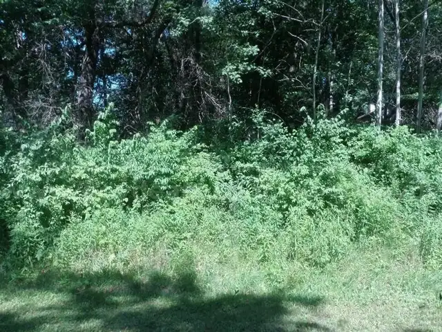 215 CRABAPPLE CT., DIXON, IL 61021 - LOST NATION, IL - VACANT LOT (Parcel # 22-08-277-019)