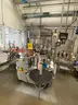 PET Bottle Filling, Capping and Packaging Line