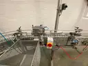 PET Bottle Filling, Capping and Packaging Line