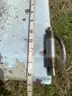 Used Fiberglass Fish Transport Tank