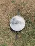 Used Fiberglass Fish Transport Tank