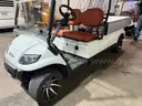 2023 Icon C20U Utility Golf Cart