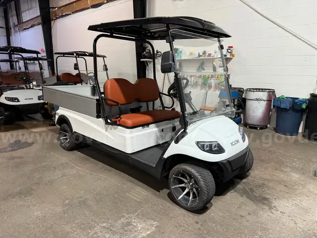 2023 Icon C20U Utility Golf Cart