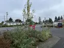 Prime  Development Lot -  Everett Community College
