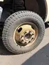 2012 Ford F-350 SD Flatbed w/ Lift Gate &#x26; Winch