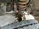 2011 Ford F450 4WD Service Truck