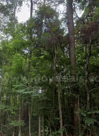Affordable Within Walking Distance of Robinhood Lake Brandon, MS