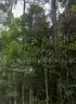 Affordable Within Walking Distance of Robinhood Lake Brandon, MS