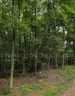 Affordable Within Walking Distance of Robinhood Lake Brandon, MS