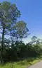 0.11 Acre Lot on Canal Connecting Jourdan River &#x2013; Trout St, Bay St. Louis/Waveland, MS